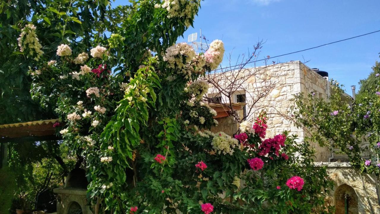 Villa Vera Sívota Екстериор снимка